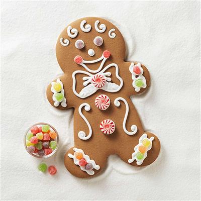 picture of a gingerbread cookie decorated in pastel colors and gumdrops