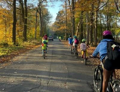 a grooup of students riding on bikes down a road with fall trees surrrounding them 
